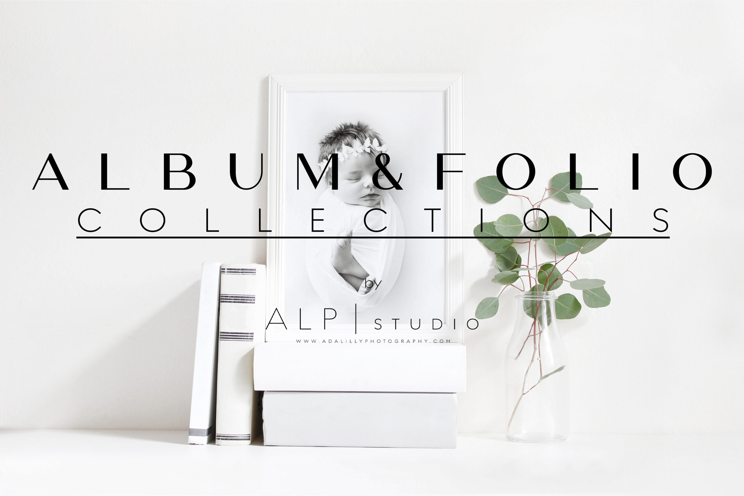 ALBUM & FOLIO COLLECTIONS Pricing Sheet@2x
